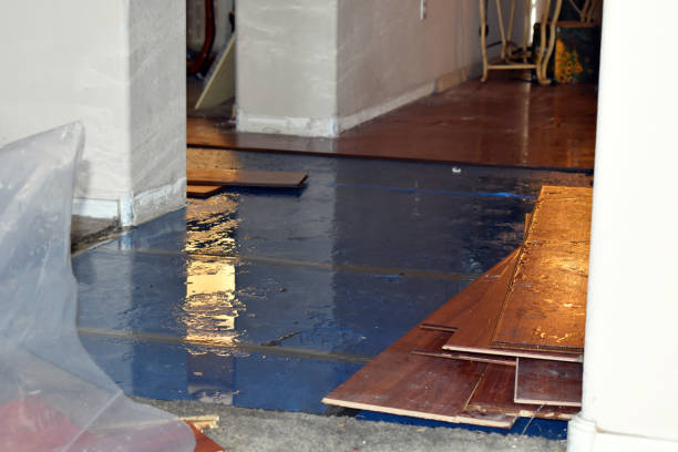 Professional Basement Flood Cleanup technician working in Forestdale, MA